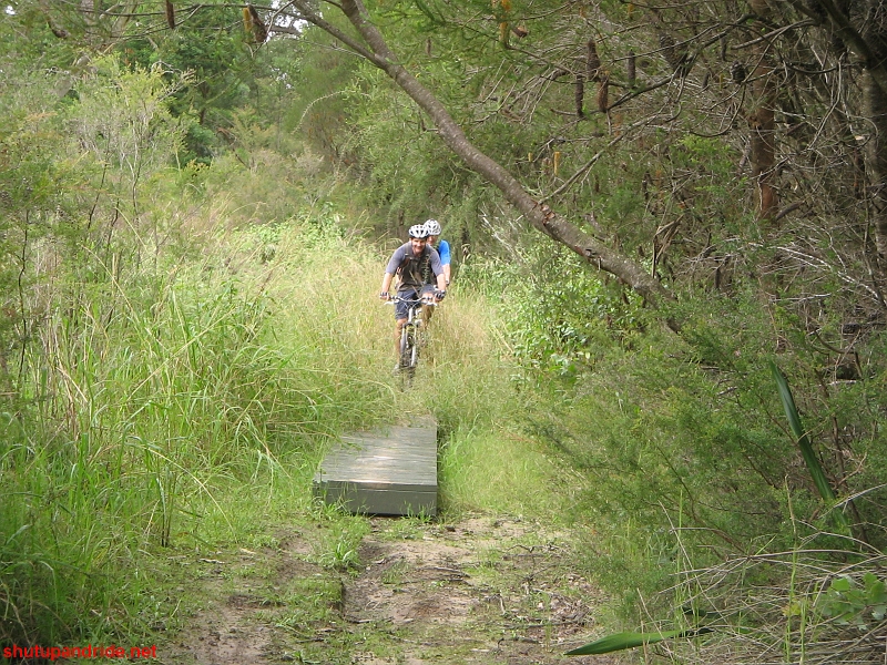 20090405-Mooney 206.jpg